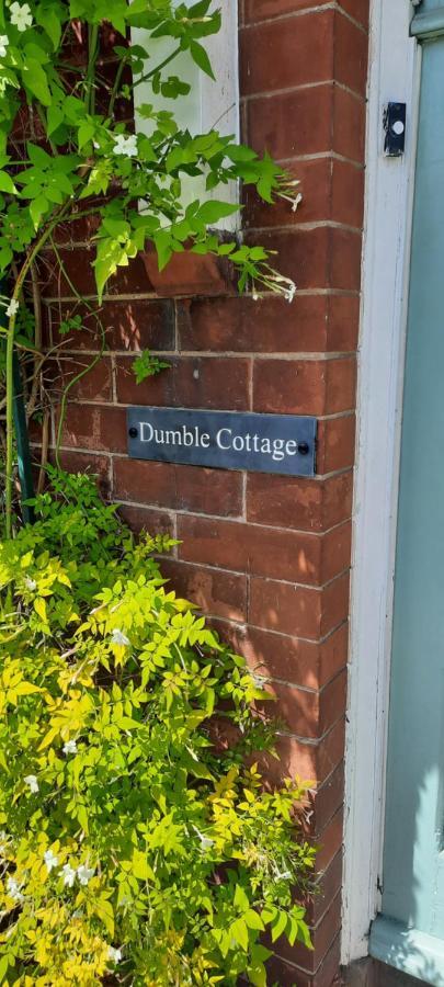 Dumble Cottage Minehead Zewnętrze zdjęcie